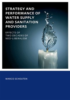 Strategy and Performance of Water Supply and Sanitation Providers (eBook, PDF) - Schouten, Marco