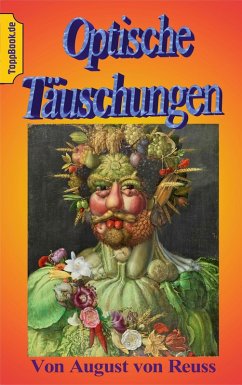 Cover Optische Täuschungen (eBook, ePUB)