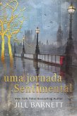 Uma Jornada Sentimental (eBook, ePUB)