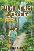 CLINCH VALLEY PURSUIT (eBook, ePUB)