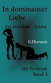 In dominanter Liebe - Band 1: Die Probezeit (eBook, ePUB)
