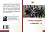 Persistance des Groupes armés dans la partie orientale de la RDC