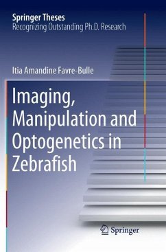 Imaging, Manipulation and Optogenetics in Zebrafish - Favre-Bulle, Itia Amandine