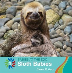 Sloth Babies - Gray, Susan H