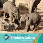 Elephant Calves