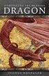 Introducing the Medieval Dragon - Bild 1