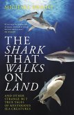 The Shark That Walks on Land