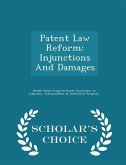 Patent Law Reform: Injunctions And Damages - Scholar's Choice Edition