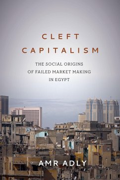 Cleft Capitalism - Adly, Amr