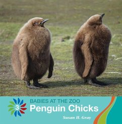 Penguin Chicks - Gray, Susan H