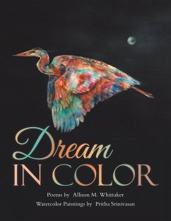 Cover Dream in Color