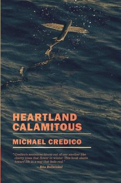 Heartland Calamitous - Credico, Michael