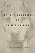 The Lives and Deaths of Shelter Animals - Bild 1