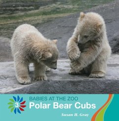 Polar Bear Cubs - Gray, Susan H