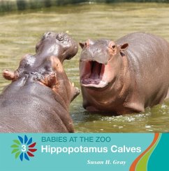 Hippopotamus Calves - Gray, Susan H
