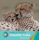 Cheetah Cubs