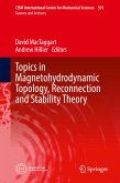Topics in Magnetohydrodynamic Topology, Reconnection and Stability Theory (eBook, PDF)