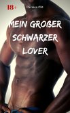 Mein großer schwarzer Lover (eBook, ePUB)