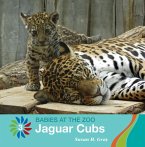 Jaguar Cubs