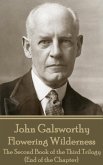 John Galsworthy - Flowering Wilderness: The Second Book of the Third Trilogy (End of the Chapter)