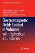 Electromagnetic Fields Excited in... - Bild 1