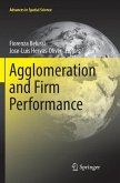 Agglomeration and Firm Performance