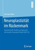Neuroplastizität im Rückenmark (eBook, PDF)