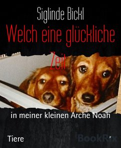 Welch eine glückliche Zeit (eBook, ePUB) - Bickl, Siglinde