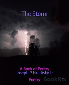 The Storm (eBook, ePUB) - Hradisky Jr, Joseph P