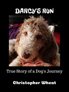 Cover Darcy's Run (Tales from N. Park Ave.) (eBook, ePUB)