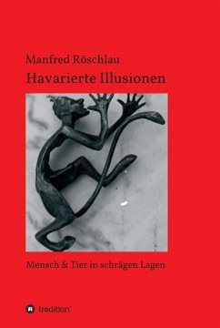 Havarierte Illusionen (eBook, ePUB) - Röschlau, Manfred
