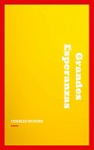 Grandes Esperanzas (eBook, ePUB) Grandes Esperanzas (eBook, ePUB)
