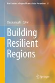 Building Resilient Regions (eBook, PDF)