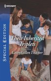 Their Inherited Triplets (eBook, ePUB)
