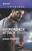 Adirondack Attack (eBook, ePUB)