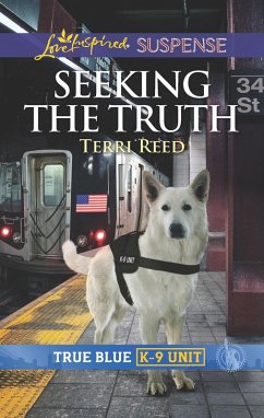 Seeking the Truth (eBook, ePUB) - Reed, Terri