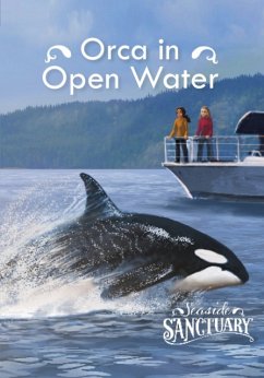 Orca in Open Water - Bernay, Emma; Berne, Emma Carlson