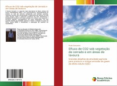 Efluxo de CO2 sob vegetação de cerrado e em áreas de lavoura - Gonçalves, Paulo