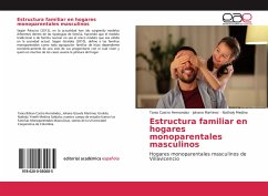 Estructura familiar en hogares monoparentales masculinos