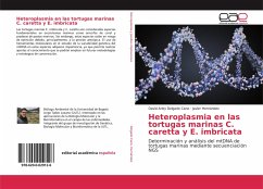 Heteroplasmia en las tortugas marinas C. caretta y E. imbricata - Delgado Cano, David Arley;Hernández, Javier