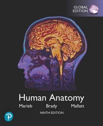 Human Anatomy plus Pearson Mastering Anatomy & Physiology with Pearson eText, Global Edition, m. 1 Beilage, m. 1 Online- Human Anatomy plus Pearson Mastering Anatomy & Physiology with Pearson eText, Global Edition, m. 1 Beilage, m. 1 Online-