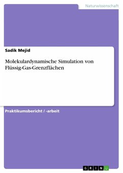 Molekulardynamische Simulation von Flüssig-Gas-Grenzflächen - Mejid, Sadik