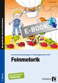 Feinmotorik (eBook, PDF)