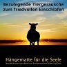 Beruhigende Tiergeräusche zum... - Bild 1