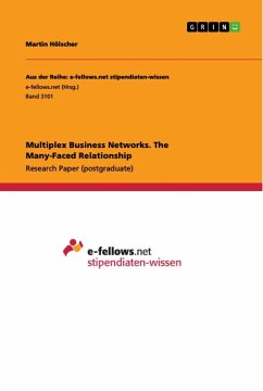 Multiplex Business Networks. The Many-Faced Relationship - Hölscher, Martin