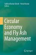 Circular Economy and Fly Ash Management - Bild 1