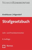 Strafgesetzbuch