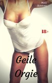 Geile Orgie (eBook, ePUB)