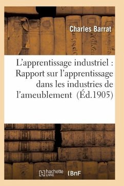 L'Apprentissage Industriel: Rapport Sur l'Apprentissage Dans Les Industries de l'Ameublement - Barrat-C