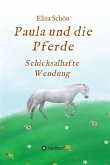 Paula und die Pferde (eBook, ePUB)